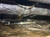 Crawl Space Repair in Gurley, AL - Photo 2