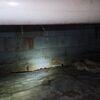 Crawl Space Repair in Auburn, KY - Photo 8