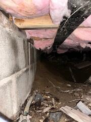 Testimonial Photo by Aziza and James C.