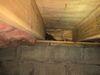 Crawlspace encapsulation in Glenshaw, PA 15116 - Photo 4