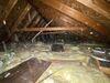 Mold remediation and attic insulation upgrade in Moon Township, PA 15108 - Photo 4