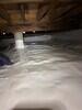 Crawl Space Encapsulation & Mold Remediation in Irving, TX - Photo 4
