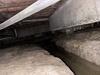Crawl Space Encapsulation & Mold Remediation in Irving, TX - Photo 3