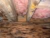 Crawl Space Encapsulation & Mold Remediation in Irving, TX - Photo 1