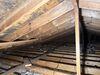 Attic mold remediation and insulation upgrade in Amity, PA 15311 - Photo 6