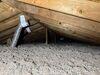 Attic mold remediation and insulation upgrade in Amity, PA 15311 - Photo 1