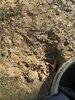 Septic Repair in Manassas, VA - Photo 1