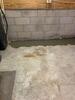 Basement Waterproofed with WaterGuard Drainage System in Whitelaw, WI - Photo 3