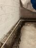 Basement Waterproofing in Brentwood, TN - Photo 6