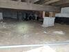 Musty Crawlspace Problem Resolved with Vapor Barrier Installation in Brandon, WI - Photo 9
