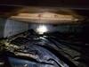 Crawl Space Encapsulation Solves Musty Air Issues in Pittsville, WI - Photo 2