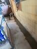 Basement Waterproofing in Bridgeport, NY - Photo 1
