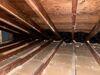 Attic sanitation and insulation upgrade in Moon Township, PA 15108 - Photo 5