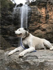 Pete - profile image