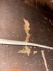 Termites in Crawl Space Discovered in South River, NJ - Photo 2