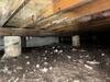 Crawl Space Encapsulation & Dehumidifier in McKinney, TX - Photo 3
