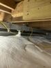 Crawl Space Repair in Princeton, KY - Photo 5