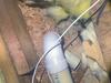 Unsealed Attic and Multiple Air Leaks Found in Shrewsbury, NJ Home - Photo 2