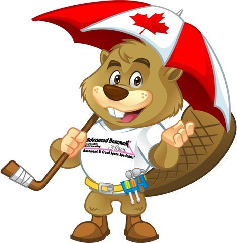 Dakota C. - profile image