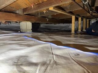 Testimonial Photo by Mary R.