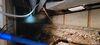 Basement Waterproofing in Galena, IL - Photo 1