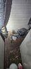 Basement Waterproofing in Bettendorf, IA - Photo 2
