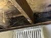 Moldy Crawl Space Repair in Dingess, WV - Photo 1