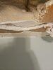 Drywall Repair - Photo 5
