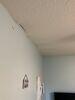 Drywall Repair - Photo 4