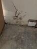 Mold Remediation in Arlington, TX - Photo 5