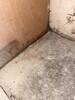 Mold Remediation in Arlington, TX - Photo 1