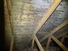 Mold Remediation In The Attic In New Hudson, MI - Photo 3