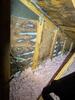 Mold Remediation In The Attic In New Hudson, MI - Photo 1