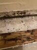 Water Restoration in North Richland Hill, TX - Photo 1