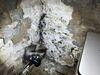 Mold remediation, HVAC Cleaning, and Humidity control in Pittsburgh, PA 15218 - Photo 1