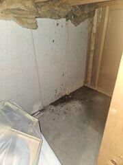 Testimonial Photo by Connie R.