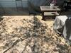 Ambler Couple Upgrades Deck with TimberTech Decking - Photo 6