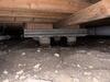 Crawl Space Encapsulation in Justin, TX - Photo 2