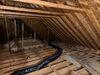 Attic sanitation and TruSoft insulation upgrade in Wexford, PA 15050 - Photo 7