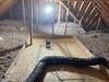 Attic sanitation and TruSoft insulation upgrade in Wexford, PA 15050 - Photo 4
