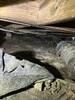 Crawl Space Repair in Elkton, KY - Photo 3