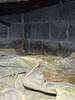 Crawl Space Encapsulation in Boaz, AL - Photo 10