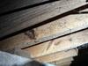 Mold Remediation in Bowling Green, KY - Photo 9