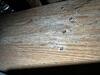 Mold Remediation in Bowling Green, KY - Photo 8
