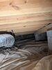 Mold Remediation in Bowling Green, KY - Photo 5