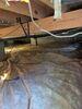 Mold Remediation in Bowling Green, KY - Photo 3