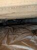 Mold Remediation in Bowling Green, KY - Photo 1