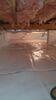 Mc Gaheysville, Virginia Crawl Space Encapsulation Project! - Photo 1
