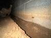 Crawl Space Repair in Cookeville, TN - Photo 1