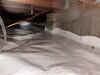 Crawl Space Encapsulation in Dallas, TX - Photo 6